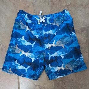 Circo Blue Ocean Adventure Swim Shorts